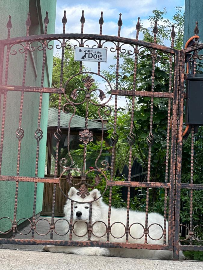 Apartment Rea Ilidza 2 Szarajevó Kültér fotó